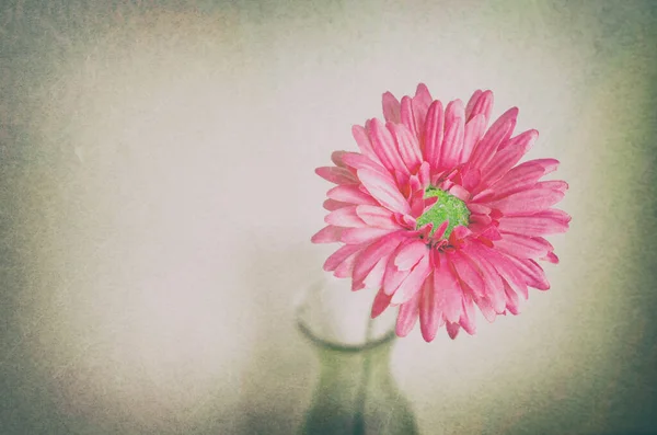 Fleur Artificielle Pastel Bouteille Avec Ton Grunge Vintage — Photo