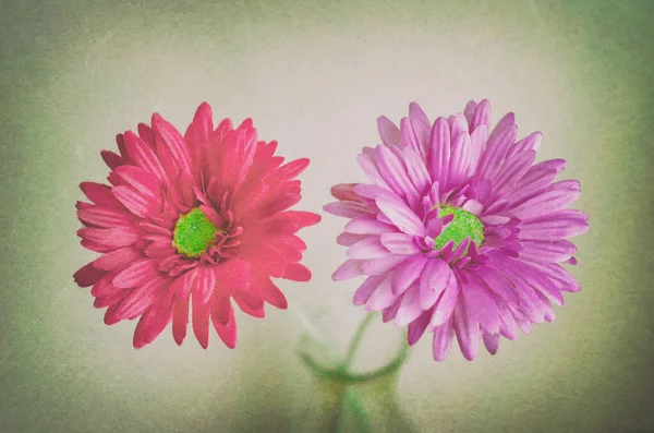 Fleur Artificielle Pastel Bouteille Avec Ton Grunge Vintage — Photo