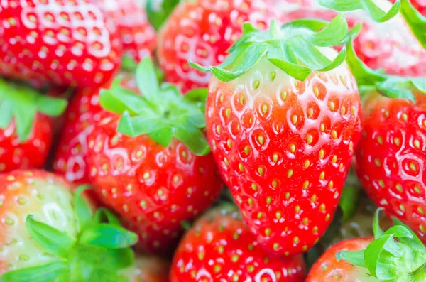 Close Red Strawberries Fruit — Stock Photo, Image
