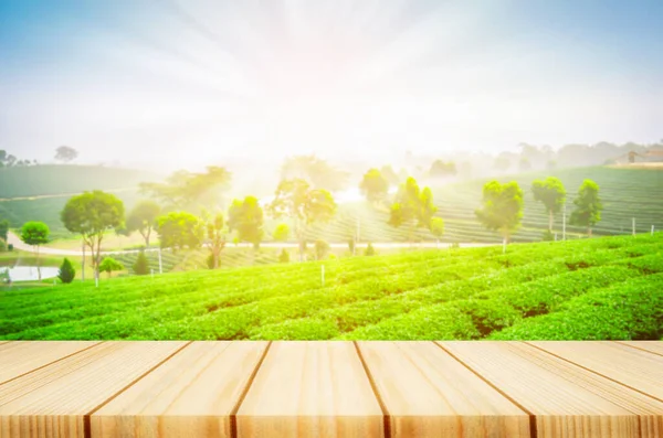 木制桌子 绿茶种植园和阳光背景模糊 免版税图库照片