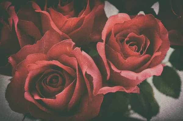 红红的人造玫瑰花 色泽柔和 色泽古雅 图库照片