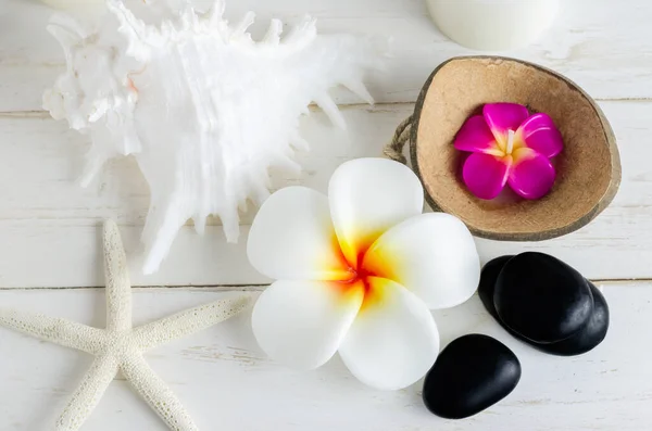 Plumeria Blumen Wellness Seife Mit Muscheln Schwarzem Stein Und Rosa — Stockfoto