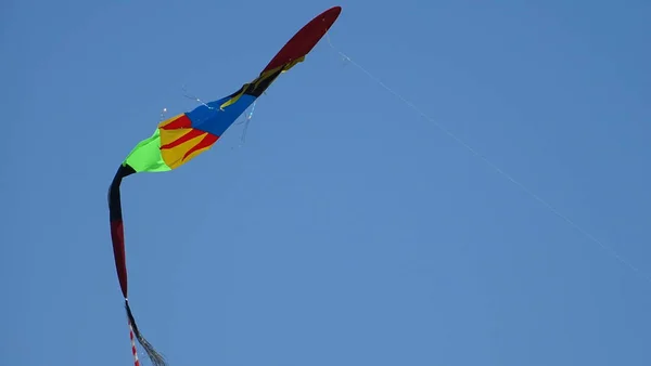 澄んだ青空の中の凧 — ストック写真