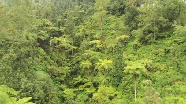 Floresta Selvagem Montanha Agung Bali Vídeo Partir Quadrocopter — Vídeo de Stock