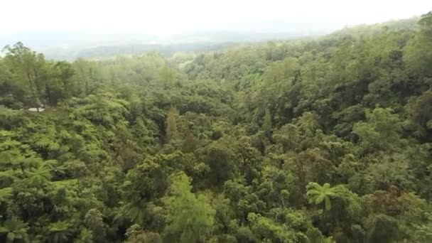 Bali Deki Agung Dağı Ndaki Vahşi Orman Bir Kuadrokopterin Videosu — Stok video