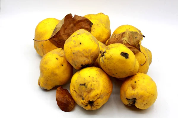 Organic Quince Naturaal Quince Fruit — 스톡 사진