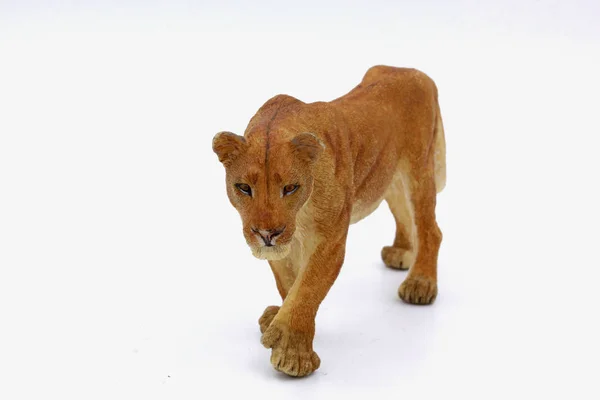 Tiger Walks White Background Lynx Toys Figure — Stock Photo, Image