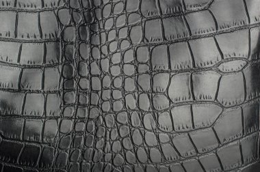 Siyah sürüngen deri dokulu ve arka planı için