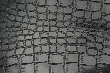 Siyah sürüngen deri dokulu ve arka planı için