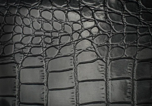 Svart reptil läder textur med för bakgrund — Stockfoto