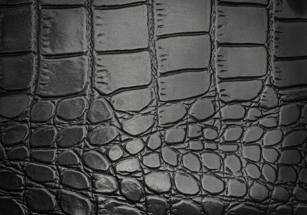 Texture cuir reptile noir avec pour arrière-plan — Photo