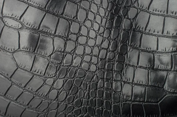 Μαύρο ερπετό δερμάτινη υφή με φόντο — Φωτογραφία Αρχείου