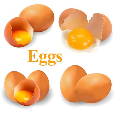 Kırık yumurta sarısı şeffaf bir arka planda, izole edilmiş, gerçekçi bir vektör çizimi, 3 boyutlu taze çiftlik yumurtası, malzeme. Sağlıklı beslenme