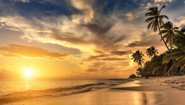 Pôr do sol bonito sobre o mar com uma vista nas palmas das mãos no branco — Fotografia de Stock
