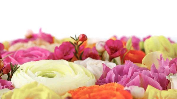 Flores en una caja de regalo. muchos de los brotes de flores — Foto de Stock