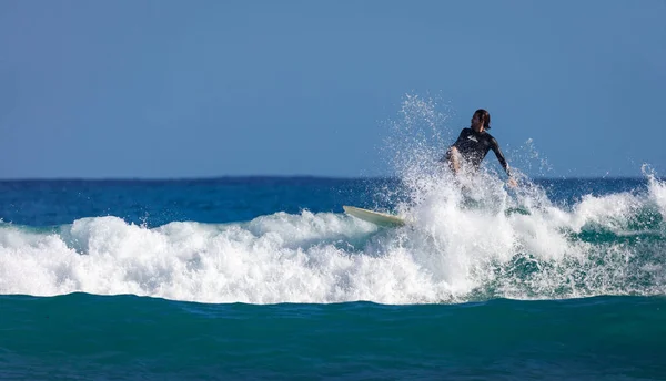 Surfare på vågen — Stockfoto