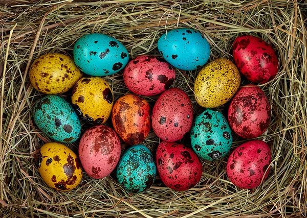 nest with colored Easter eggs on Easter day. Celebrating