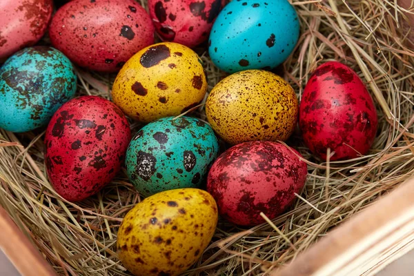nest with colored Easter eggs on Easter day. Celebrating