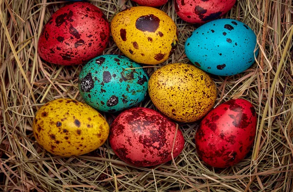 nest with colored Easter eggs at home on Easter day. Celebrating