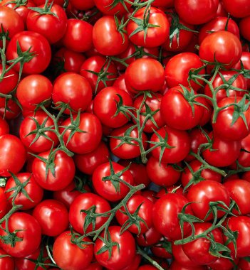 Beautiful tomatoes (Baku tomatoes) clipart