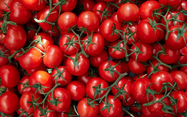 Belos tomates (tomates Baku ) — Fotografia de Stock