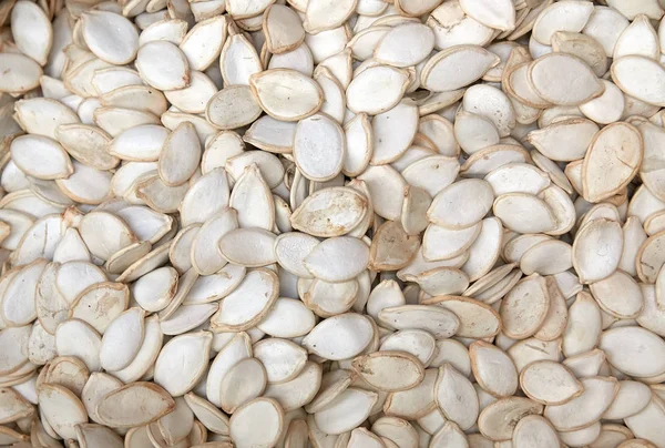 Fondo de semillas de calabaza — Foto de Stock