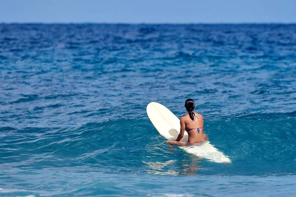 Surfer κορίτσι σας περιμένουν για ένα κύμα — Φωτογραφία Αρχείου