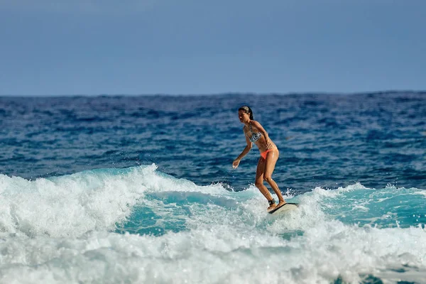 Surfař škola. Krásná mladá žena v plavkách. Surfující na vlně Stock Fotografie