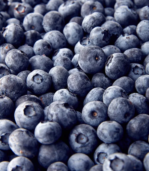 Arándanos recién recogidos. Bayas silvestres, Comida saludable — Foto de Stock