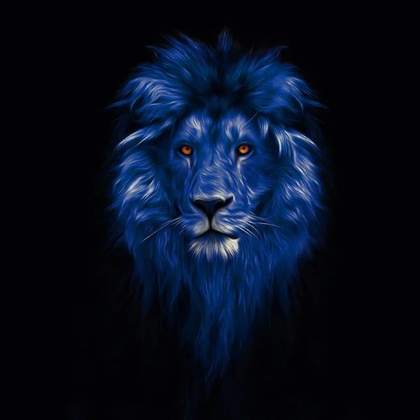 Retrato de un hermoso león, león en la oscuridad, pinturas al óleo —  Fotos de Stock