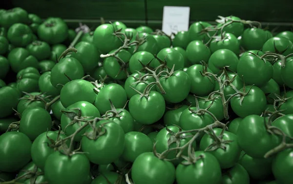 Tomates verdes — Fotografia de Stock