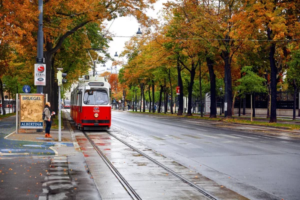 Осень в Вене, прогулки по городу, в дождливую погоду, трамвай на улице — стоковое фото