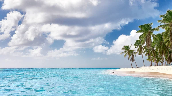 Cennet plaj. Tropik cennet, beyaz kum, plaj, palmiye ağaçları — Stok fotoğraf