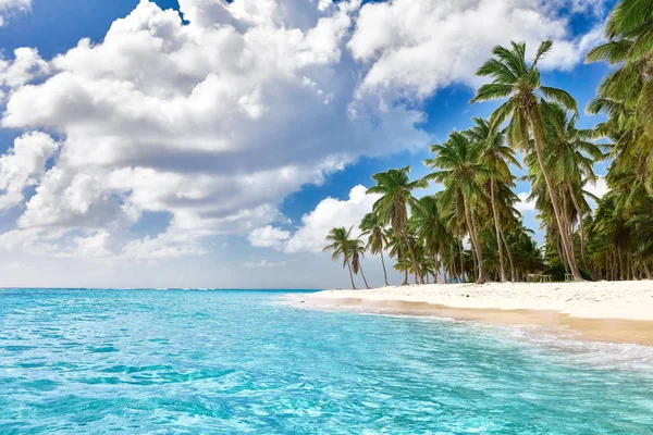 Cennet plaj. Tropik cennet, beyaz kum plaj, palmiye ağaçları ve berrak su — Stok fotoğraf
