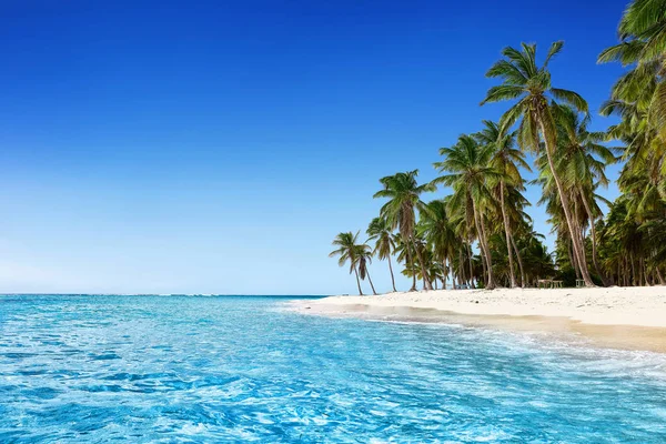 Paradise beach. Tropical paradise, white sand, beach, palm trees