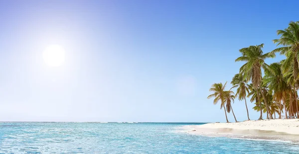 Paradise beach. Tropický ráj, bílý písek, pláž, palmy — Stock fotografie