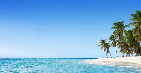 Paradise beach. Tropický ráj, bílý písek, pláž, palmy — Stock fotografie