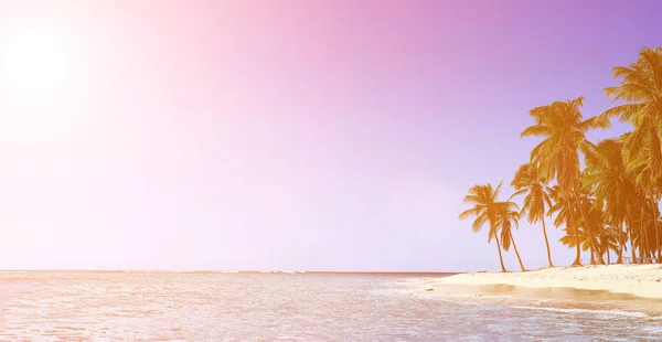 Playa Paradise. Paraíso tropical, arena blanca, playa, palmeras y aguas cristalinas —  Fotos de Stock