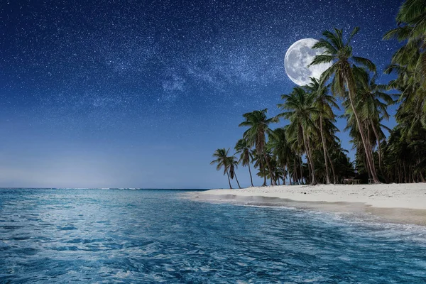 Paradise beach at night. Tropical paradise, white sand, beach, palm trees and clear water