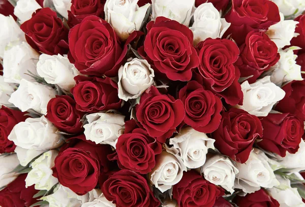 white and red rose. mixed rose bouquet for a wedding. floral background