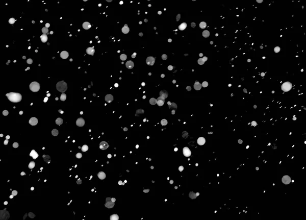 Floresta de neve sobre fundo preto - elemento de design — Fotografia de Stock