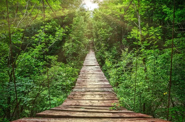 Suspension bridge in Sun rays — Stock Image Suspension bridge in Sun rays Stock Image
