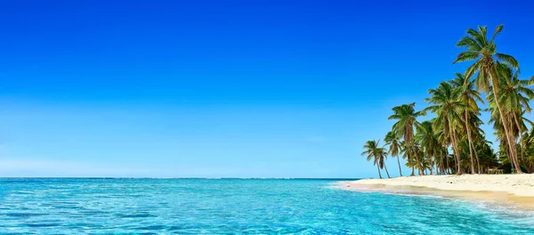 Paradise beach. Tropický ráj, bílý písek, pláž, palmy — Stock fotografie