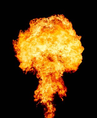 Explosion - fire mushroom. Mushroom cloud fireball from an explosion clipart