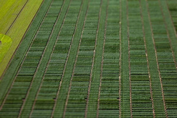 Vista aérea de parcelas agrícolas con surcos y tierras verdes en tiro de primavera — Foto de Stock