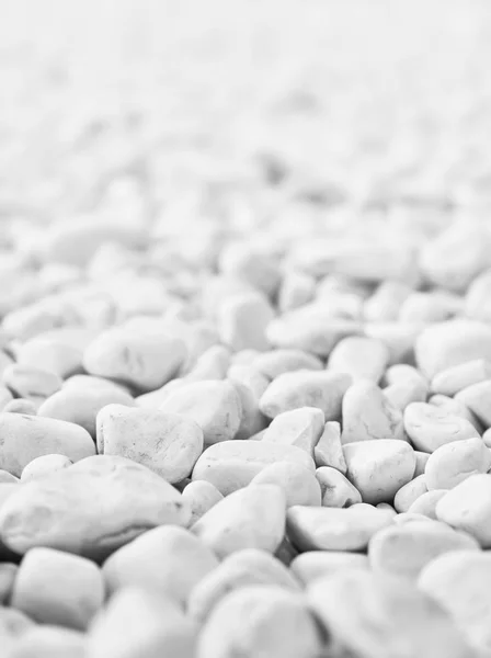 Cailloux blancs fond de pierre. Détente, méditation et calme autour de nous . — Photo