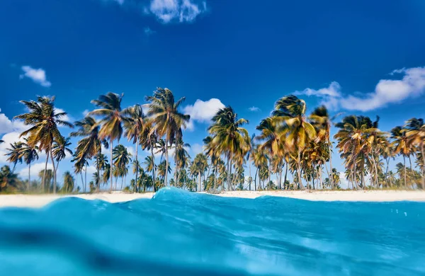 Isla Tropical Vista Playa Desde Agua —  Fotos de Stock