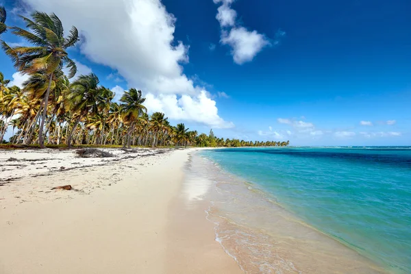 Isla Tropical Vista Playa —  Fotos de Stock