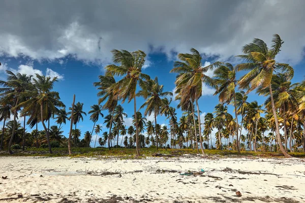 Isola Tropicale Vista Sulla Spiaggia — Foto Stock