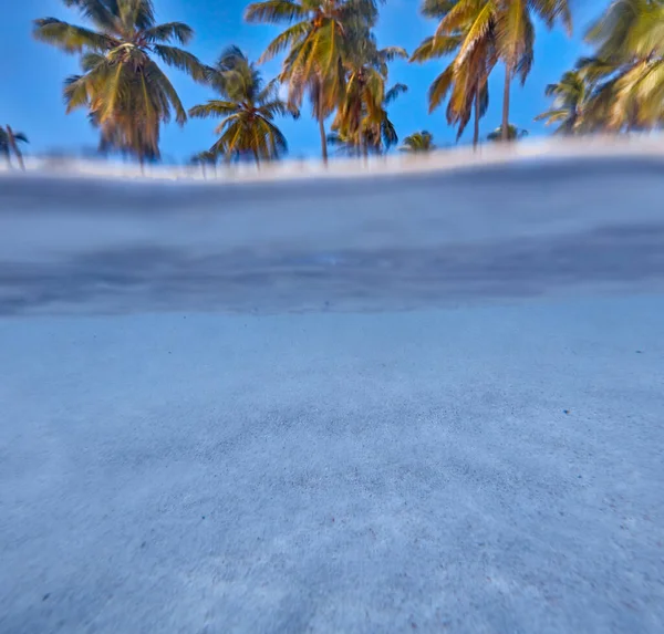 Tropische Insel Blick Auf Den Strand Vom Wasser Aus — Stockfoto